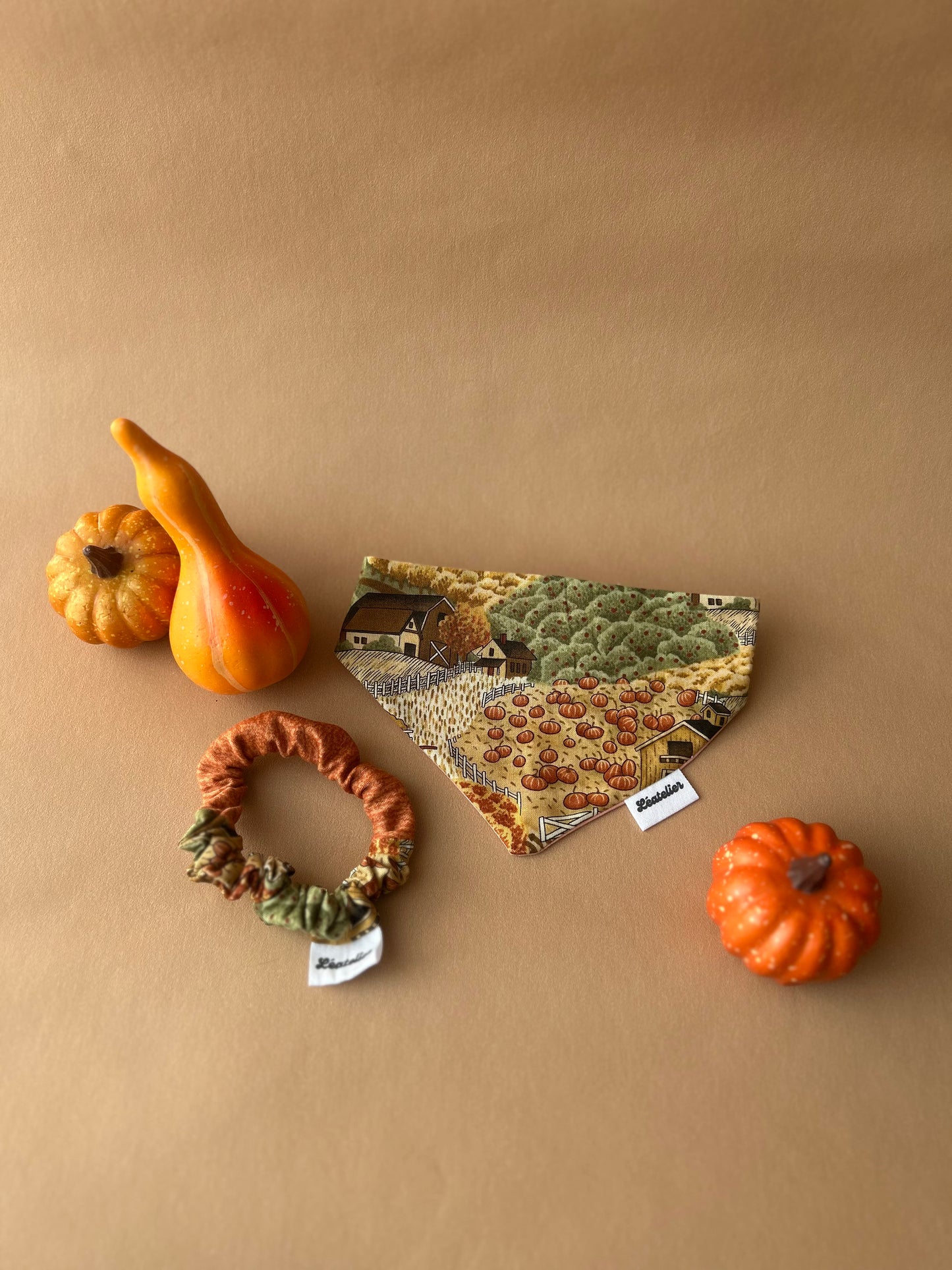 Look Autumn farm