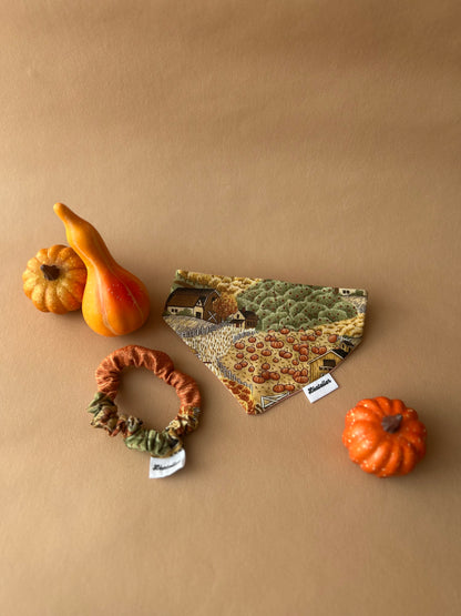 Look Autumn farm