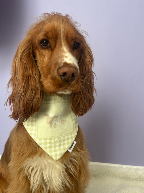 Bandana personnalisé pour animaux